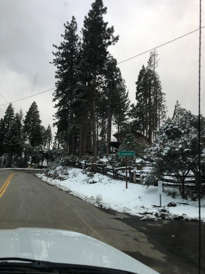 Panorama Heights Sequoia National Forest Cabinh מראה חיצוני תמונה